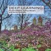 Deep Learning English Paperback Book US 356-2%