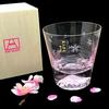Gift / Present Genuine Product Tajima Glass Handmade Mount Fuji Rock Sakura Color Kiriko Valentines Day Wedding Celebration Beer Sake Whiskey Respect