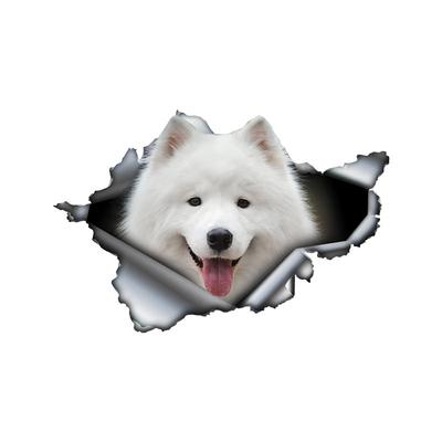 Pegatinas para Coche para Samoyedo Lindo Escondido en Agujeros, Calcomanías Decorativas para Coche Impermeables con Formas Irregulares