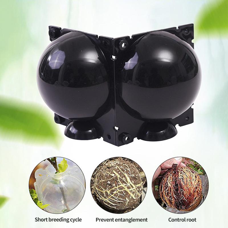 5Pcs Plant Root Growing Boxes Grafting Device Reusable Plant Rooting Device Ball Air Layering Propagation Kit Garden Supplies