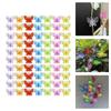 70 Peças Clipes de Planta em Forma de Borboleta Braçadeiras de Plástico Pesadas Adequadas para Flores Trepadeiras Orquídeas Suporte Design Anti-Acamamento