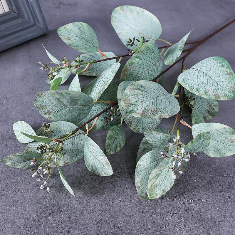 Simulation Green Plant Long Branches with Fruit Eucalyptus Eugene Money Leaf