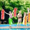 50Pcs Colorful Hawaiian Flower Garland Artificial Tropical Leis for Beach Party and Event Decor