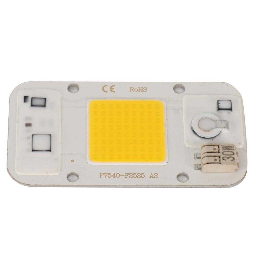 220V High Pressure Free Drive Light Source 30W LED Chip Integrated Lamp Bead for Plant Growth Light