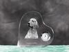English setter, Lawerack, Laverack – Crystal clock with a dog picture, heart-shaped shelf clock | Art-Dog