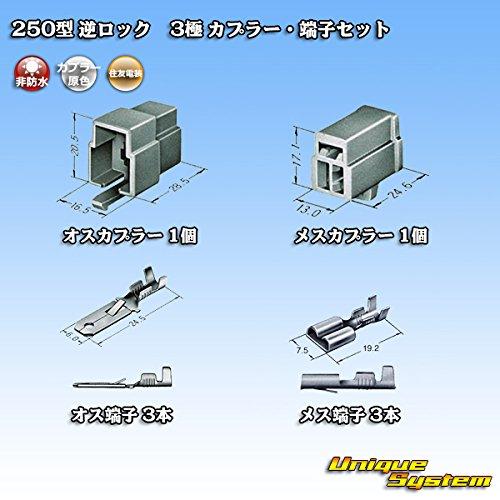 Sumitomo Wiring Systems 250 Type Reverse Lock Non-waterproof 3-pole Coupler/terminal