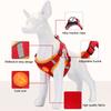 Dogs Adjustable Harness Leash Set for Small Medium Dogs Harness Vest Reflective Puppy Chest Strap Pet Walking Outdoor Supplies