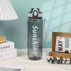 Water bottle American 800ML large capacity plastic cup men and women outdoor fitness sports high temperature anti-drop double drinking straw cup