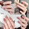 Spring Return Flash Cat Eye Glue Flash Reflective Popular Color Whitening Small Set Nail Salon Special