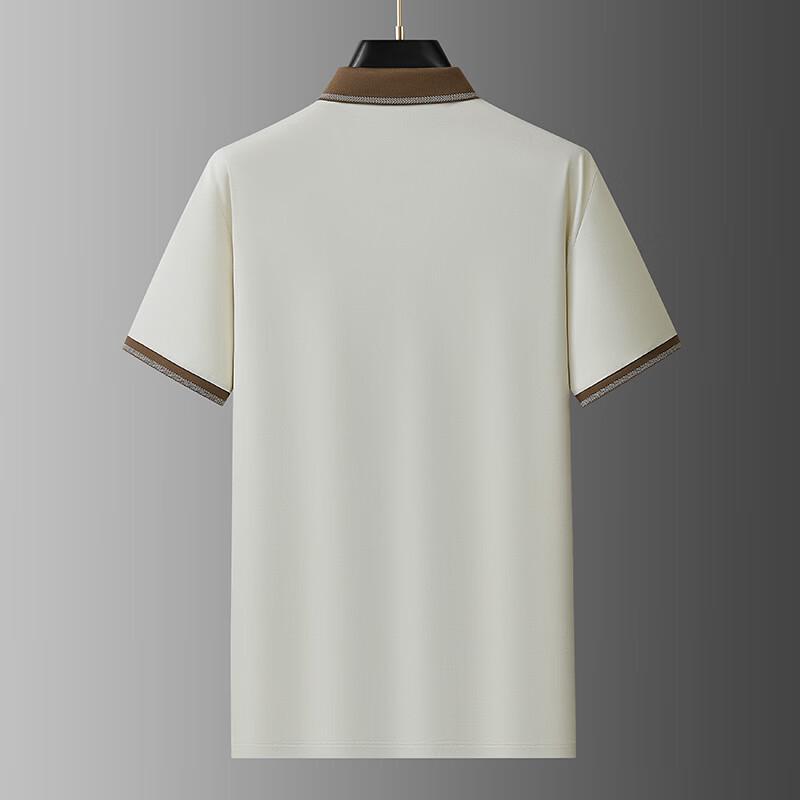 Men's Plus Size Short Sleeve Polo Shirt