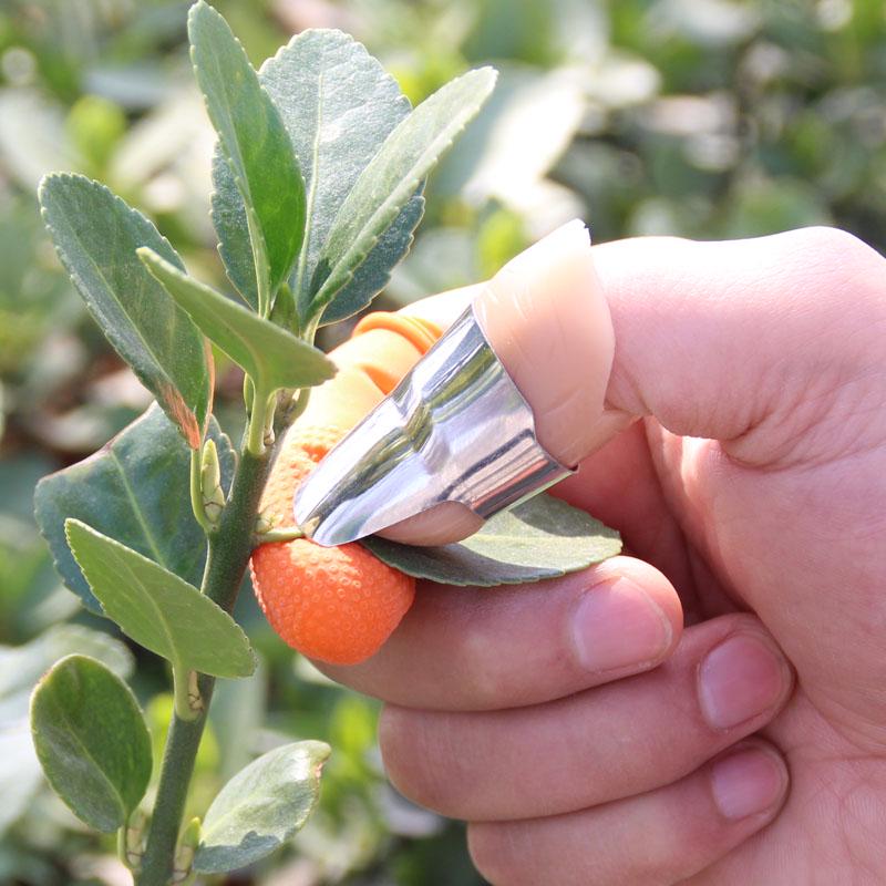 Stainless Steel Multifunctional Thumb Knife and Fingernail Protector