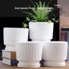 Elegant White Ceramic Flower Pot with Tray - Ideal for Ivy, Spider Plants, and Succulents