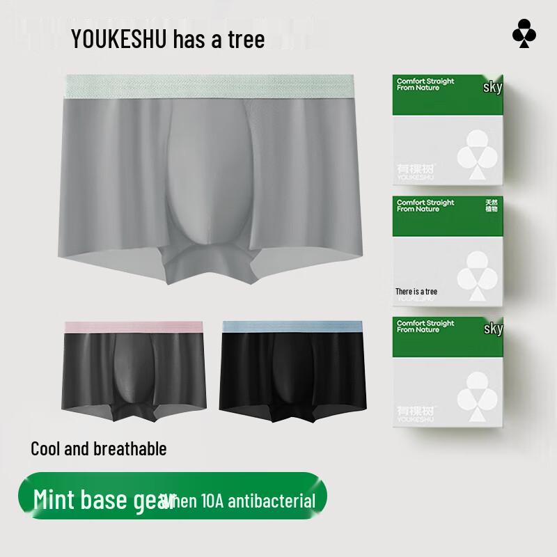 Herren Eis-Seide Antibakterielle Schnelltrocknende Boxershorts