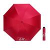 Hongye Artistic Folding Umbrella