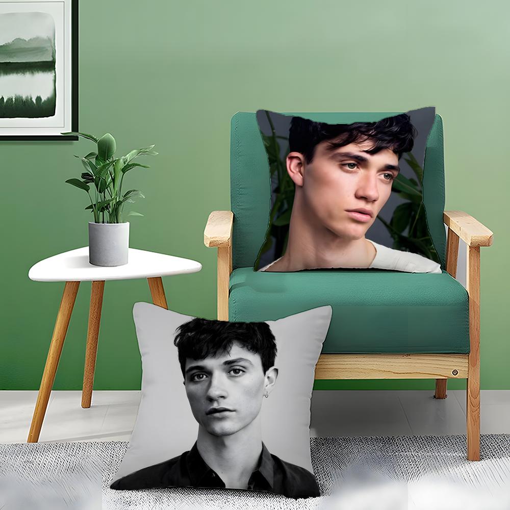 Handsome Online Model J-Jacob Bixenman Pillow Case Pattern Printed Pillowcase For Living Room Sofa Cushion Cover & Bedroom Decor