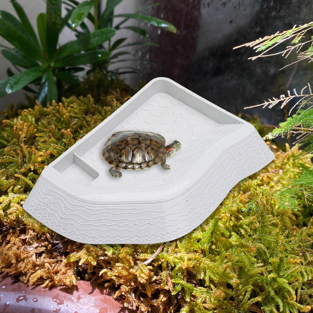 Turtle Bathing Pool, Reptile Water Bowl, Aquarium Ornament, Landscape Feeding Bowl, Turtle Feeder for Bearded Dragons,