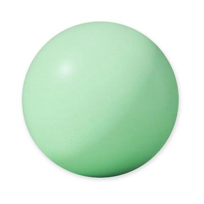 Rainbow Palette Ball Pilates 25cm 4 Yoga Exercise Mini for Kids and with Mini Air Pipe Puni-Tre Ball, ±3cm, Colors, Ball, Ball, Ball, Anti-Burst,