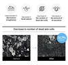 ROUND LAB 1025 Dokdo Toner 200ml