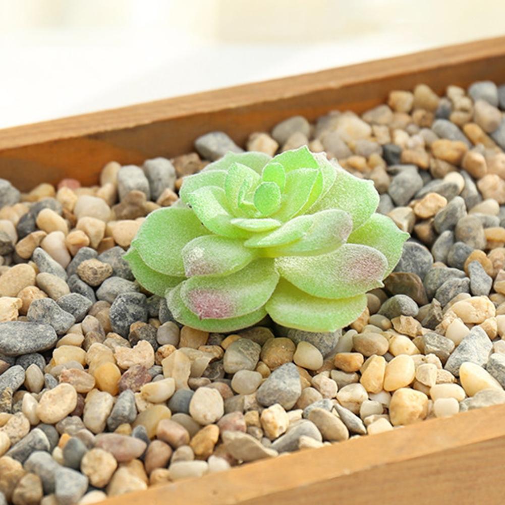 Fleshy Simulated Succulent Flocking Home Plant Flower Head