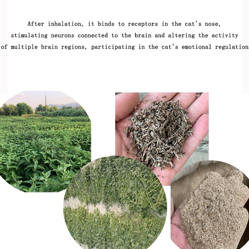 Katzenspielzeug mit Katzenminze 100% Natürliche Katzenminze Gras Menthol Katzenspielzeug Gesund Sicher Essbar Belohnung Interaktive Katze Ungiftige Zubehör