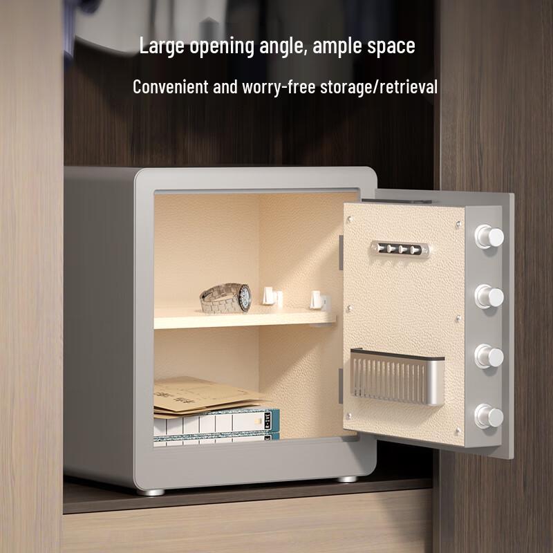 Deli AE100 Fingerprint & Password Safe Box H300