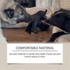 Unbreakable Bear Dog Toy, New Unbreak Bear, Unbreaka Bear for Aggressive Chewers, Indestructible Bear Dog for Heavy Chewers Large Dogs