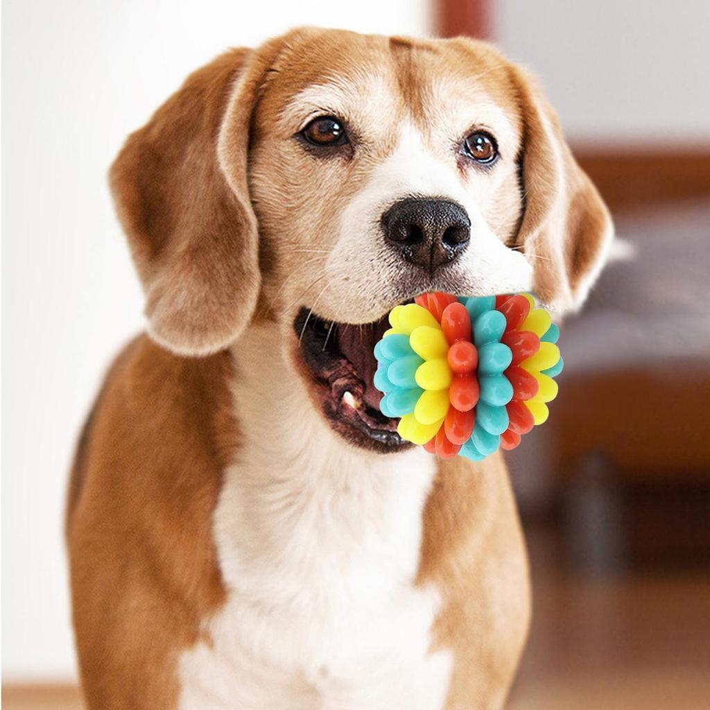 Pet Ball Dog Teething Toys Balls For Aggressive Chewers Fetch Games Puppy Accessories For Pet Moving Exercise Play Boredom