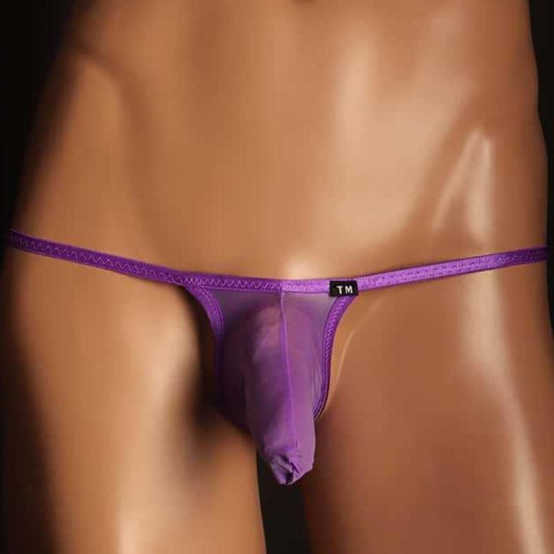 Men Ice Silk Underwear Sexy Elephant Trunk Underpants Low Rise G-Strings Mini Briefs Elastic Breathable Thongs Micro Lingerie