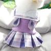 Princess Skirt Puppy Clothes Spring And Autumn Teddy Bichon Pomeranian Schnauzer Small Puppy Pet Autumn And Winter