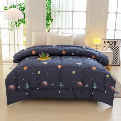 Thickened Brushed Warm Quilt