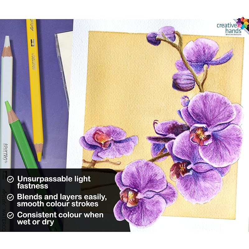 

BRUSTRO Artists Watercolour Pencil (In Elegant Tin Box) Set of 72 1 count (Pack of 1)