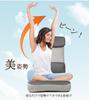 Seat 1 Office Game Breathable Fits 4 Levels of 4 Levels of Thick Cushion [Ergonomics] Chair, Seater, Chair, Chair, Chair, Mesh, Kotatsu, Backrest