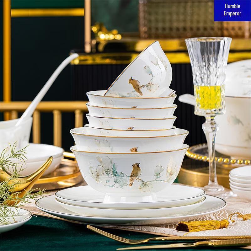 Qianxing 20-teiliges Keramik-Geschirrset