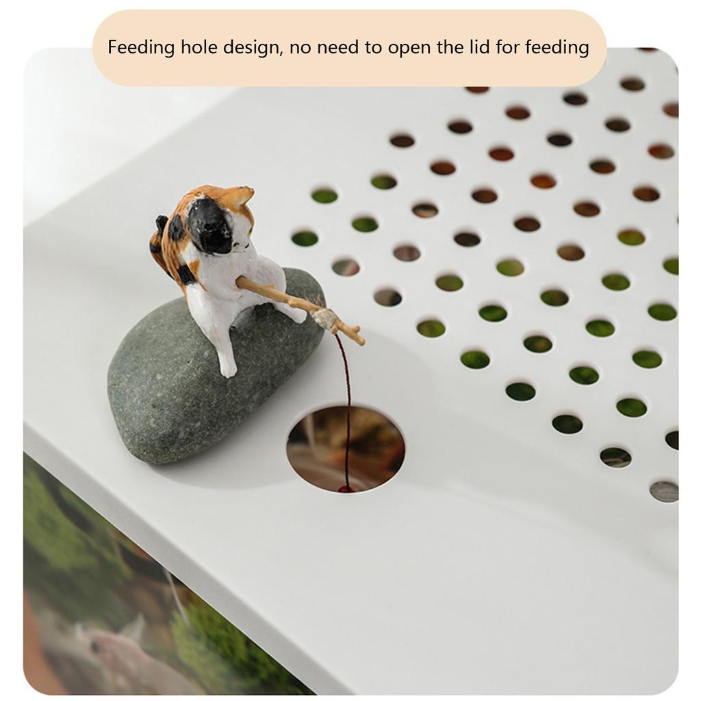 Clear Plastic FishTank With Secure Lid and Water Plant Holder For Goldfish Home Desktop Decoration Aquarium Tanks