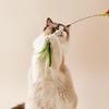 Flexible Cats Toy Teaser Wand for Home Entertainment and Felines Fitness