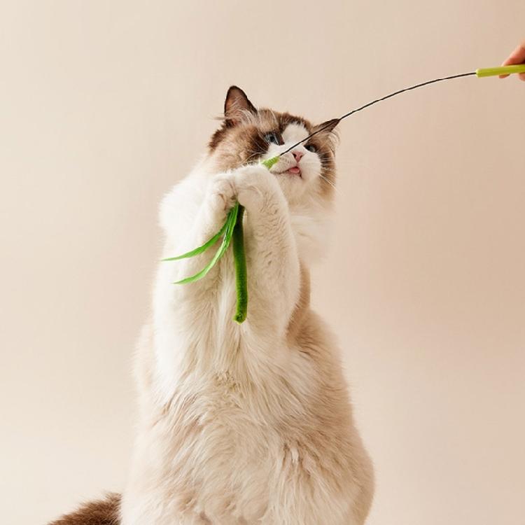 Flexible Cats Toy Teaser Wand for Home Entertainment and Felines Fitness