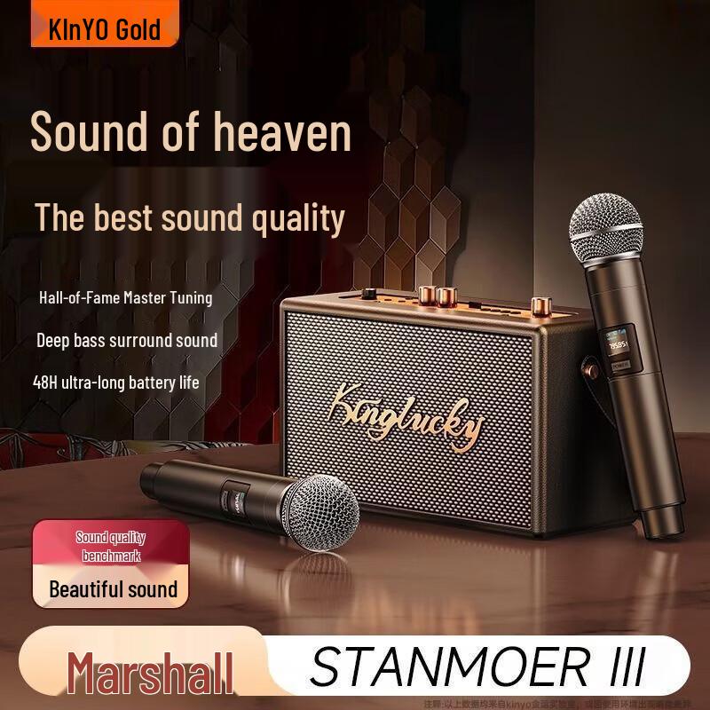 KINYO Bluetooth Karaoke Speaker CN plug (adapter included)