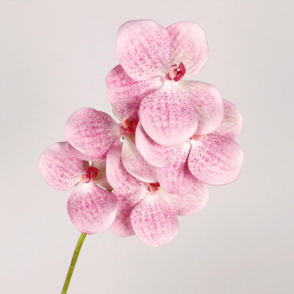 5 Heads Artificial Orchid Real Touch Multi Color Fake Phalaenopsis Flower Iron Wire Inner Lining 67cm Silk Flower