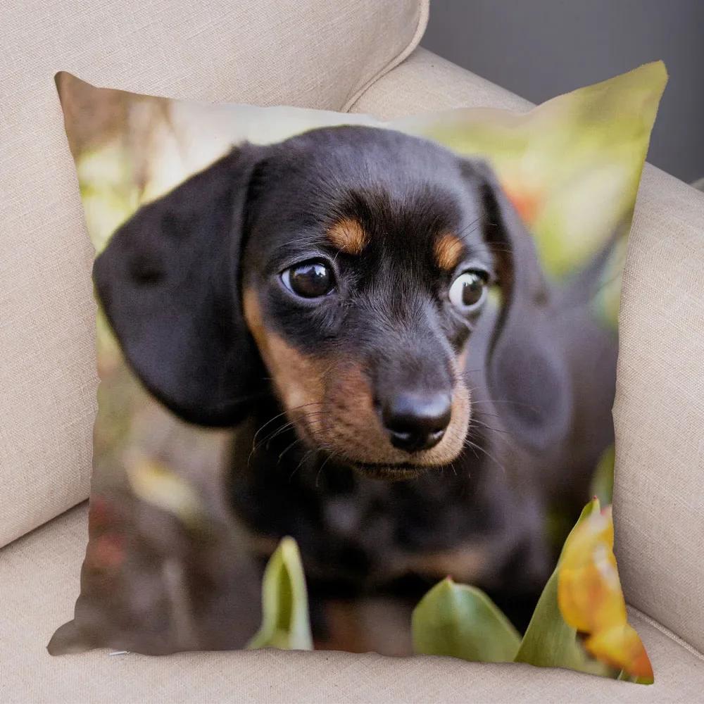 Mini Dachshund Dog Cushion Cover Decor Pet Animal Pillow Cases Super Soft Plush Pillowcase for Sofa Home Children Room ,(1)