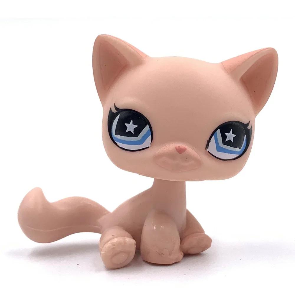 Rare Littlest Pet Shop Lps Toy Toy Mini Stands Short Hair Kitten Old Figures Collection Al Bobble Head Toy