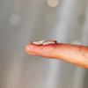 S925 Sterling Silver Rhinestone Wave Ring: European & American Style Luxury Index Finger Ring for Women