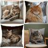 1/4 Maine Coon Cat Cushion Cover Comfortable Polyester Material With Zipper Closure Pillowcase Living Room Bedroom Pillow Cover