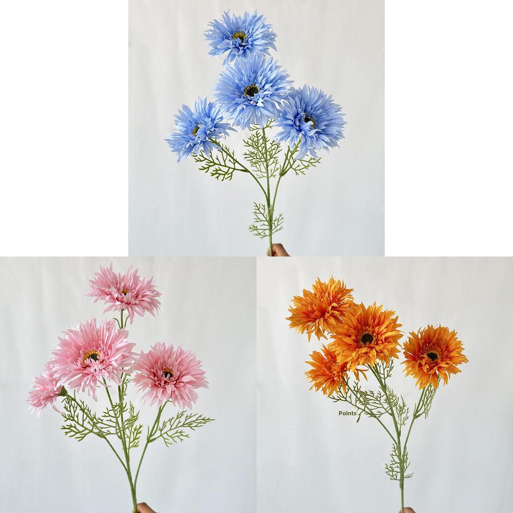 African Gerbera Jamesonii Bolus Wedding Decor For Home And Event Use