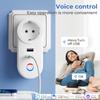 Tuya Wifi Smart USB-Buchse EU-Stecker 16a Steckdosenadapter Ladestimme Smart Life App Elektrische für Google Home Alexa