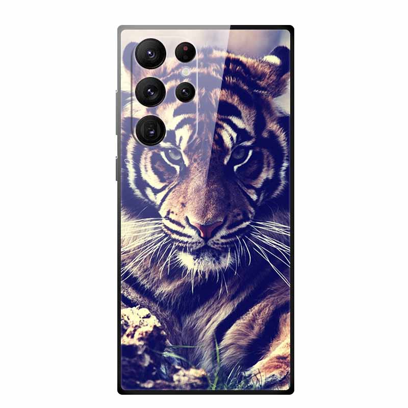 Gehärtetes Glas Case Für Samsung Galaxy S25 Ultra Case S 25 Ultra Hartes Rückseiten Cover Weicher Stoßfänger Für Samsung S23 S22 S24 Ultra Case