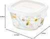 Iwaki Glass Airtight Container Shinji Kato Nordic Garden Square Shape 200ml Heat-resistant B3200-SNF