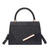 2025 This Year, Popular Niche Design Handbags, New Fashionable and Versatile, Simple and High-end Shoulder Messenger Bags