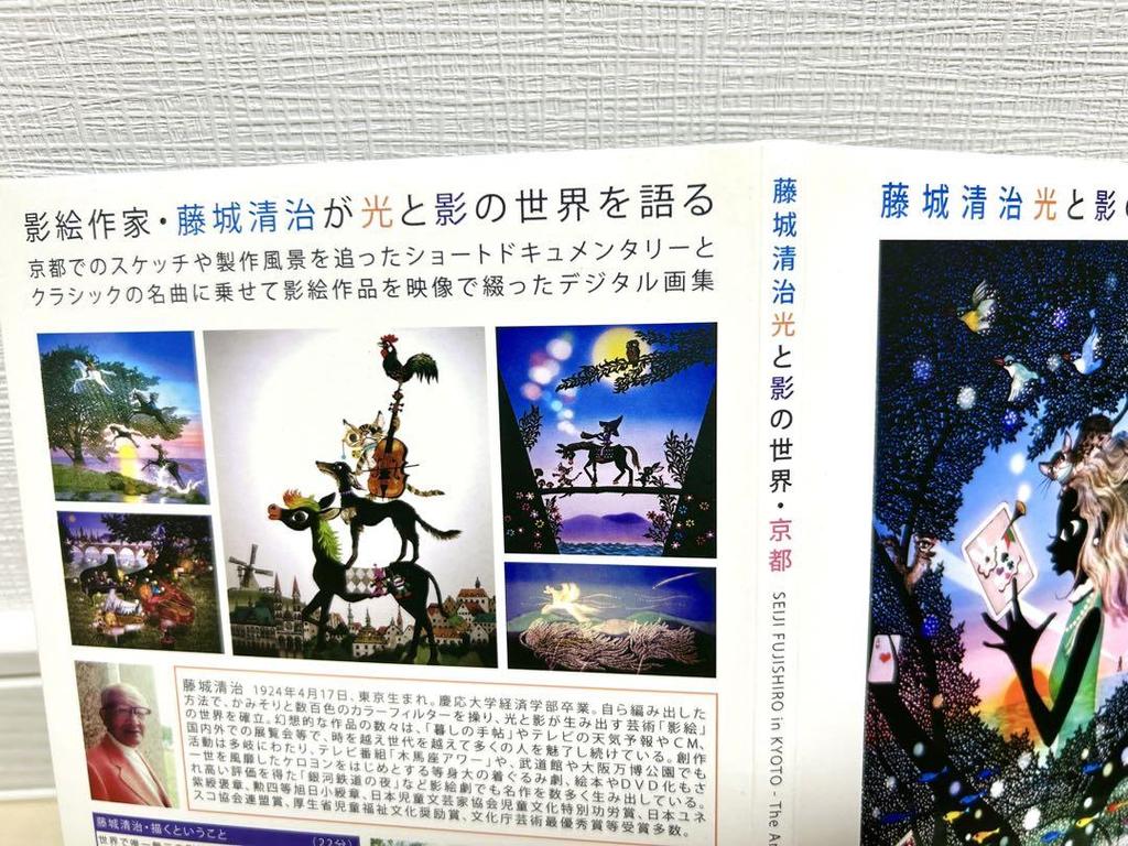[USED] Rare Shadow Painting by Seiji Fujishiro: Dwarfs - The World of Light and Shadow, Kyoto - DVD Digital Art Collection