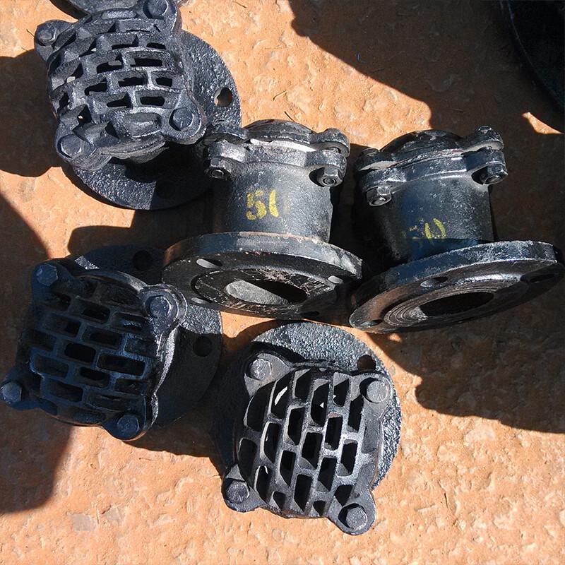 Junsong Cast Iron Water Pump Foot Valve