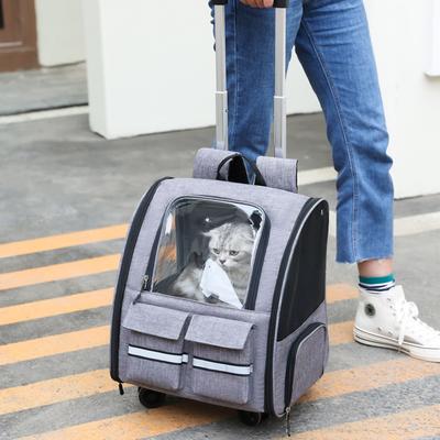 Pets Cat Backpack Carrier Breathable Foldable Small Dog Shoulder Bag Outdoor Portable Travel Transparent Bag For Cats